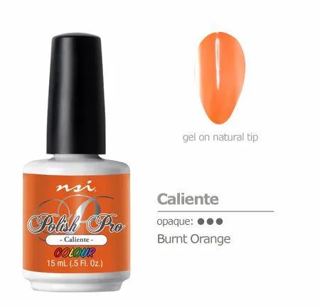 Gel Polish Colours NSI