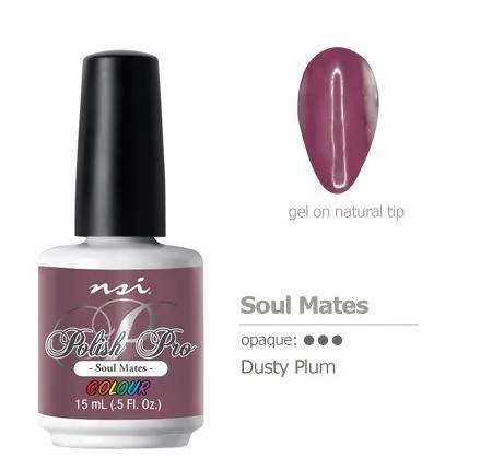 Gel Polish Colours NSI