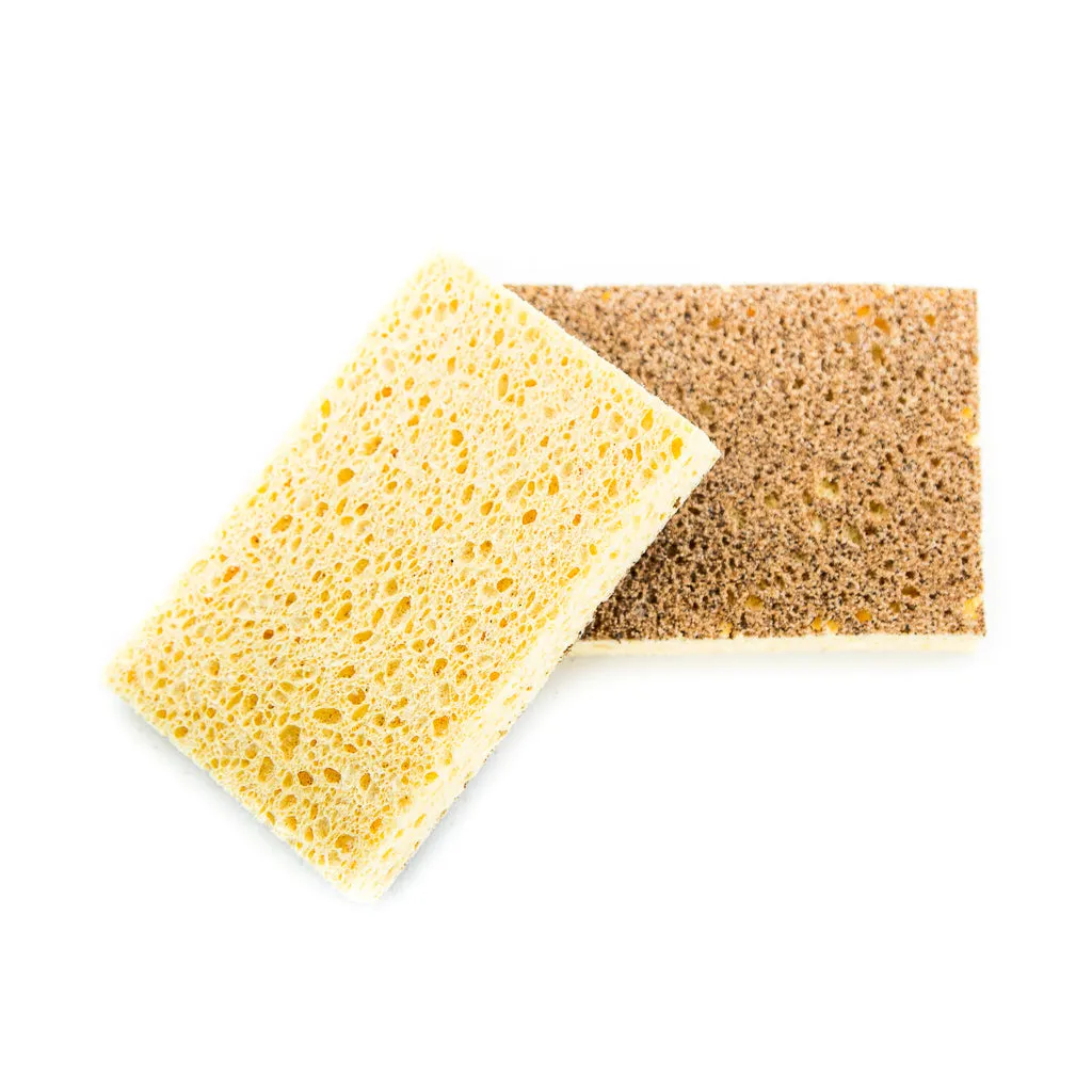 Natural Dish Sponge (Set of 2)