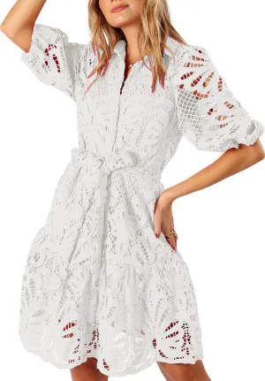 Women's Summer Hollow Out Lace Mini Dress Lantern Sleeve Lapel Button Ruffle Casual Beach Party Dresses
