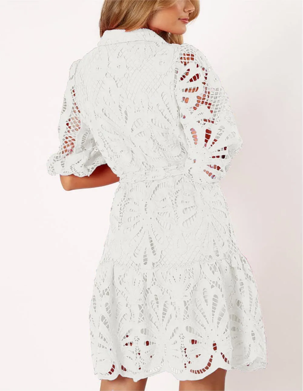 Women's Summer Hollow Out Lace Mini Dress Lantern Sleeve Lapel Button Ruffle Casual Beach Party Dresses
